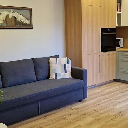 Ancia Close To Center With Private Yard Kaunas