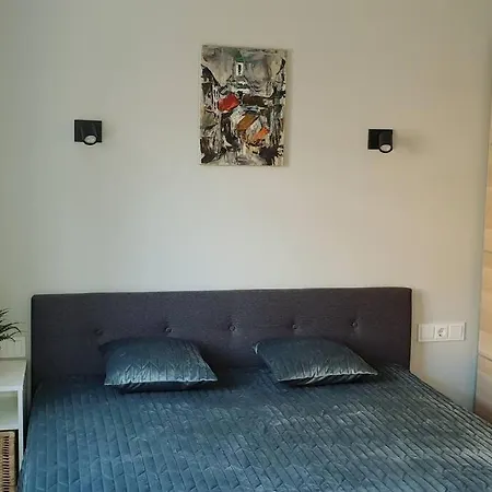 Ancia Close To Center With Private Yard Kaunas